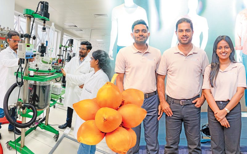 ඉවතලන තැඹිලි කෝම්බයෙන් ඇඳුම්වලට පාට දාන අපේ විද්‍යාඥයෝ